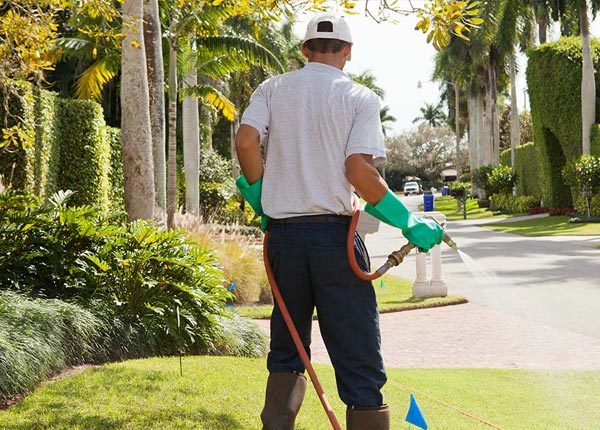 About Poway CA Pest Control Pros